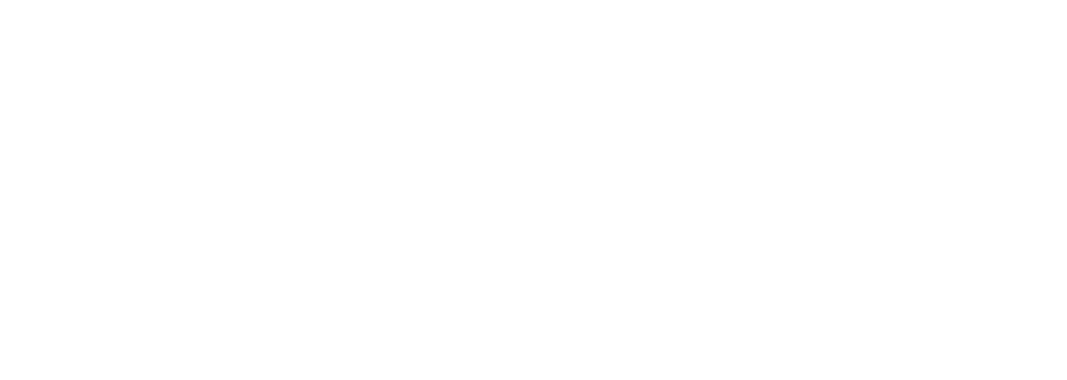 Level 10 Coaching